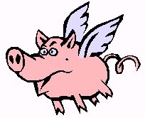 OINK!